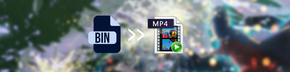 Convert BIN Files to MP4 Format